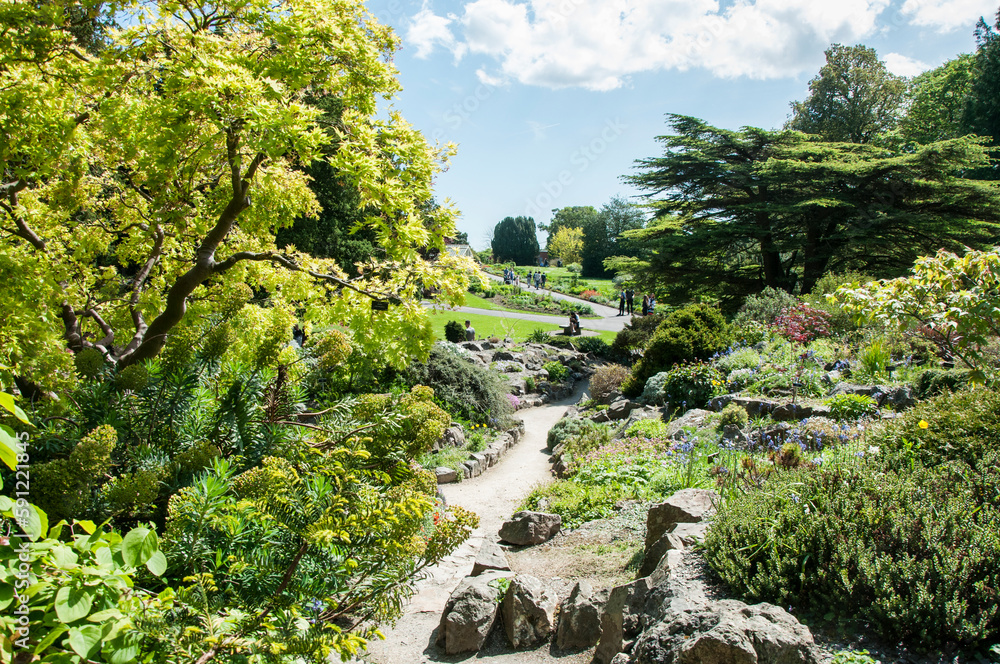 Obraz premium Dublin Botanic garden