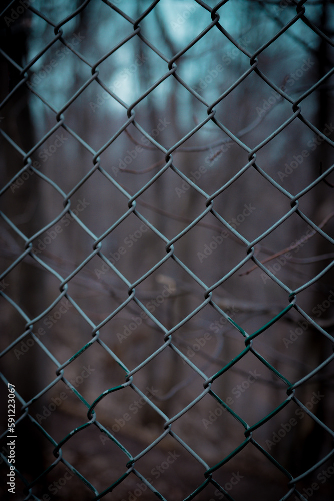 fence with background fence with background