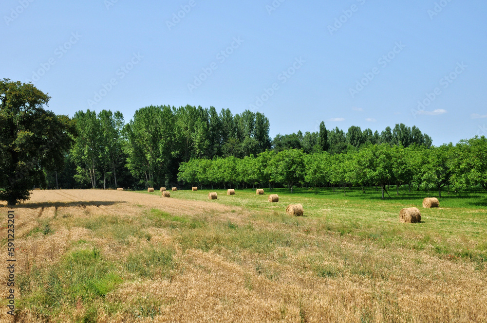 France, field in Sainte Mondane in perigord
