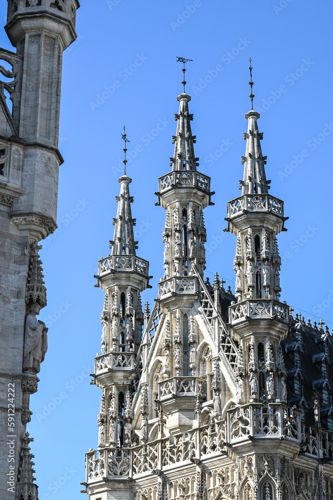 Belgique Belgium Louvain Leuven mairie hotel de ville stadhuis architecture Gothique historique statue