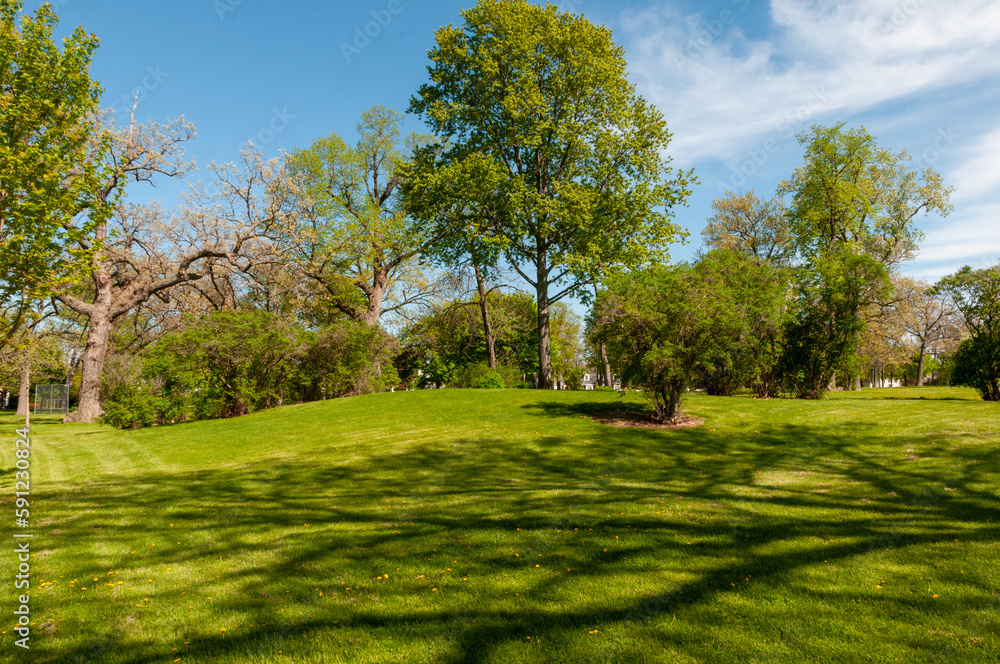 Naklejka premium Indian Effigy Mounds At Smith Park On Doty Island, Wisconsin