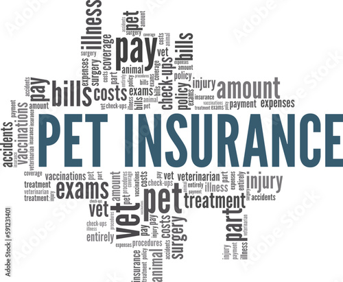 Pet Insurance word cloud conceptual design isolated on white background.