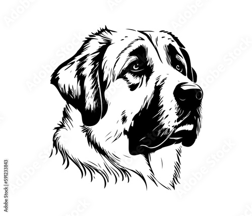 Anatolian Shepherd, Silhouettes Dog Face SVG, black and white Anatolian Shepherd vector