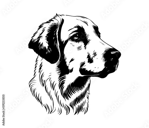 Anatolian Shepherd, Silhouettes Dog Face SVG, black and white Anatolian Shepherd vector