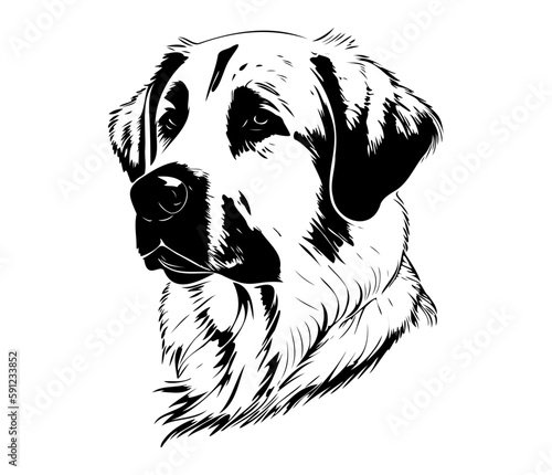Anatolian Shepherd, Silhouettes Dog Face SVG, black and white Anatolian Shepherd vector