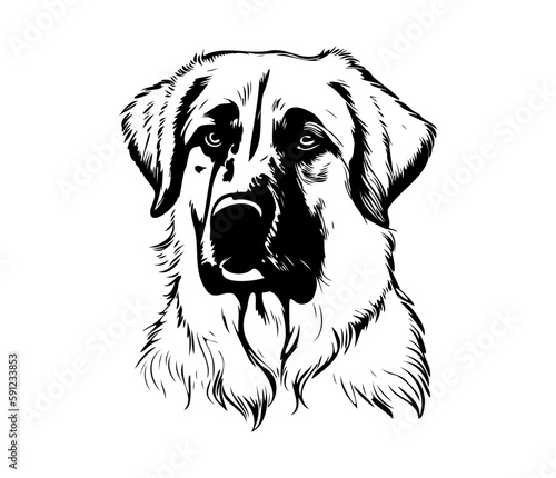 Anatolian Shepherd, Silhouettes Dog Face SVG, black and white Anatolian Shepherd vector