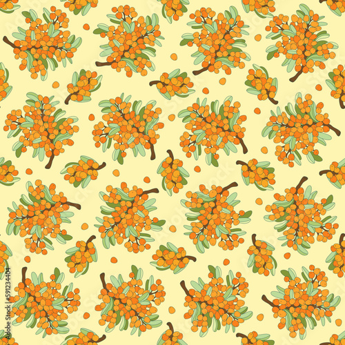 Vintage sea buckthorn seamless pattern. Vector outline drawn illustration