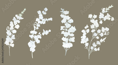 Set of white Flowers. Wild Plants. Watercolor Illustration.