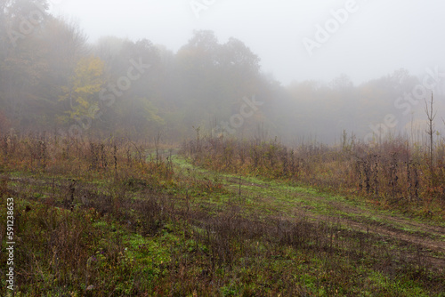mountainous terrain  foggy morning  autumn walks in the bosom of nature  the state of nature with the approach . winters.