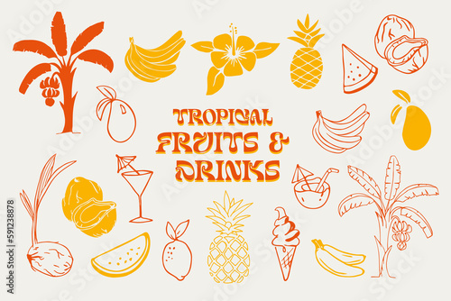 Tropical fruits and drinks Illustration Set