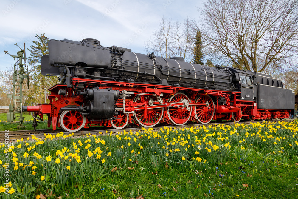 Naklejka premium Steam locomotive in Treuchtlingen. The express locomotive 01 220 as a monument in Treuchtlingen. The locomotive is registered as a monument in the Bavarian monument list.