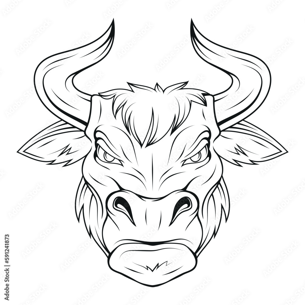 Bull. Vector illustration of a sketch of an ox. Buffalo mascot. Aggressive muscle nowt. Spanish fighting bull