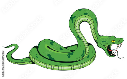 Snake. Vector illustration of tattoo tropical serpent