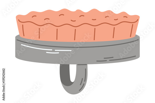 Anti-cellulite massage spa brush for washing the body or hair. Vector isolated flat illustration.
