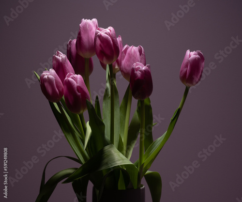 Bouquet of pink tulips in fron t of a pink background.