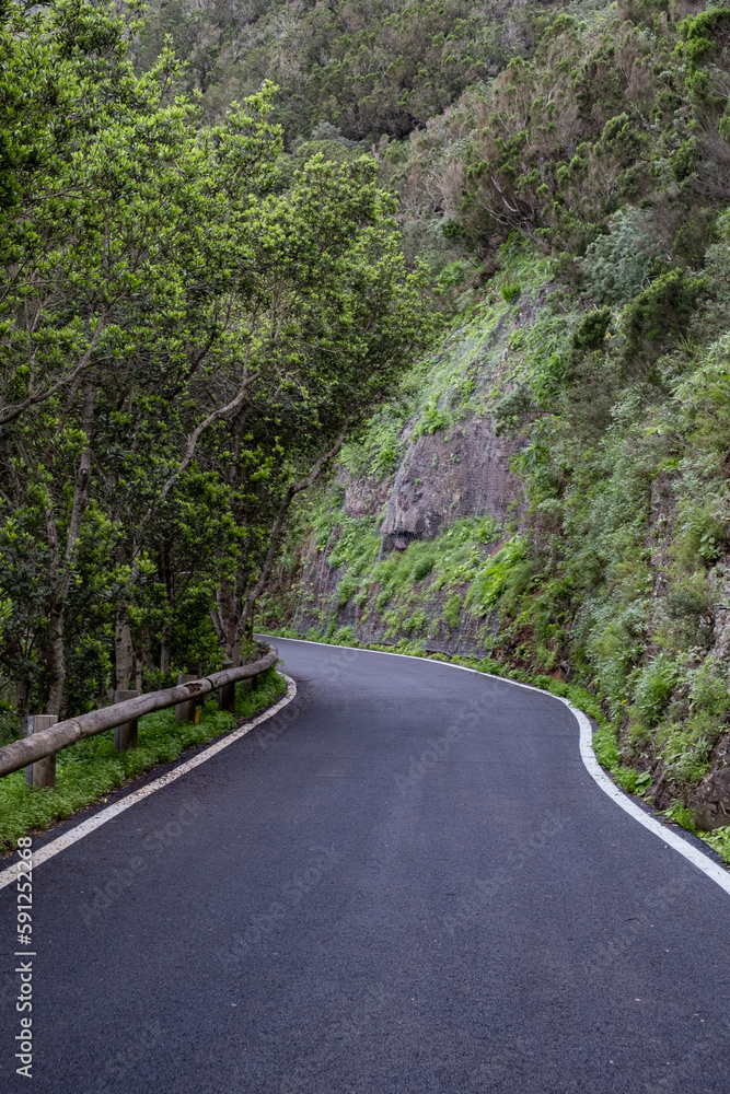 Dark road in green natural untouched mountain range in tenerife island, canarias, spain Dark road in green natural untouched mountain range in tenerife island, canarias, spain