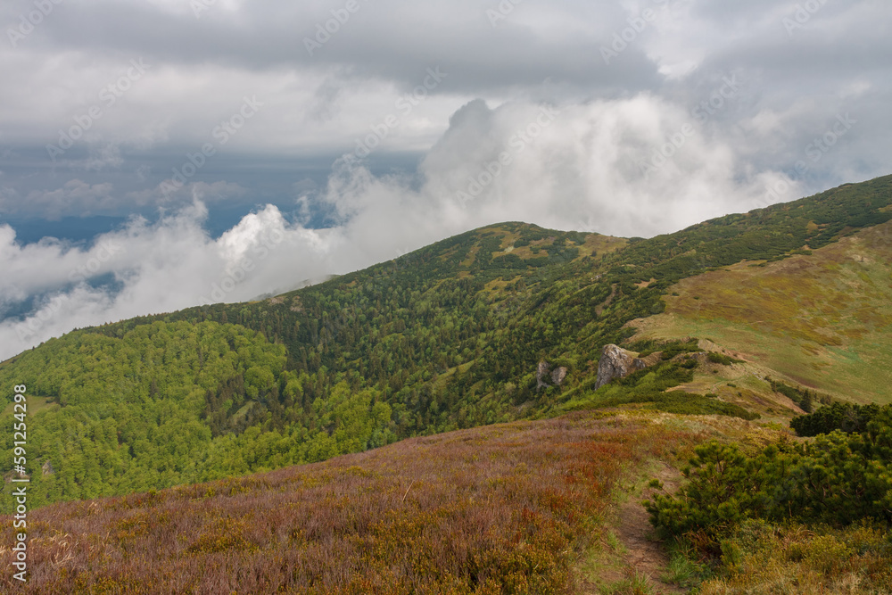 Mountain pass Bublen, view from path to Maly Krivan, national park Mala Fatra, Slovakia, in spring cloudy day