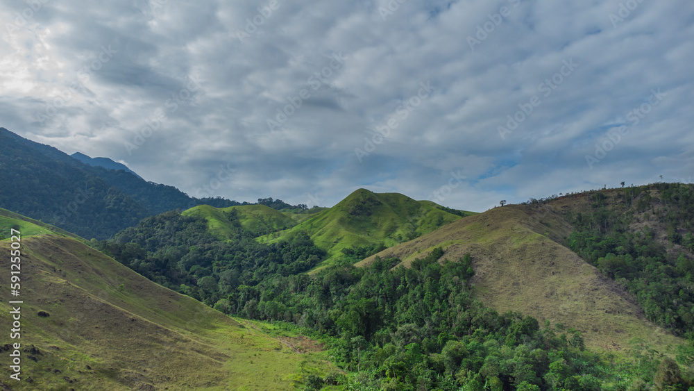 Fototapeta premium The picturesque hill with lush trees and tall grass exudes natural beauty and offers a refreshing escape into the serene landscape.