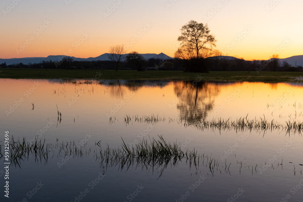 Flooded meadow at sunset with reflections in the water.