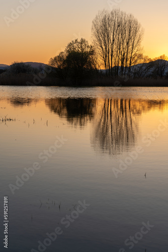 Flooded meadow at sunset with reflections in the water.