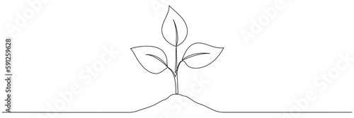 Leaves sprout continuous line drawing. Plant branch growth one line art. Vector illustration isolated on white.