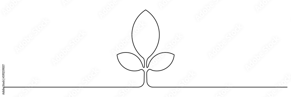Leaves continuous line drawing. Plant branch one line art. Vector illustration isolated on white. Leaves continuous line drawing. Plant branch one line art. Vector illustration isolated on white.