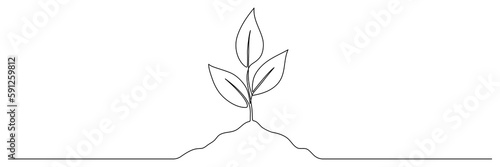 Leaves sprout continuous line drawing. Plant branch growth one line art. Vector illustration isolated on white.