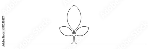 Leaves continuous line drawing. Plant branch one line art. Vector illustration isolated on white.