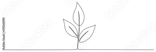 Leaves continuous line drawing. Plant branch one line art. Vector illustration isolated on white.