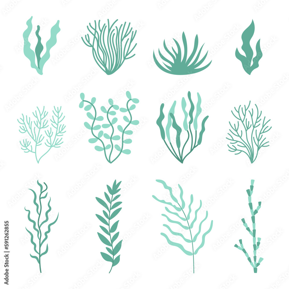 Set cute green seaweed. Marine plant elements. Cartoon vector illustration. Set cute green seaweed. Marine plant elements. Cartoon vector illustration.