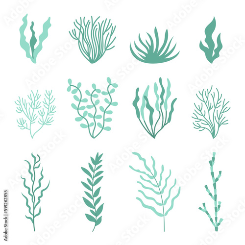 Set cute green seaweed. Marine plant elements. Cartoon vector illustration.