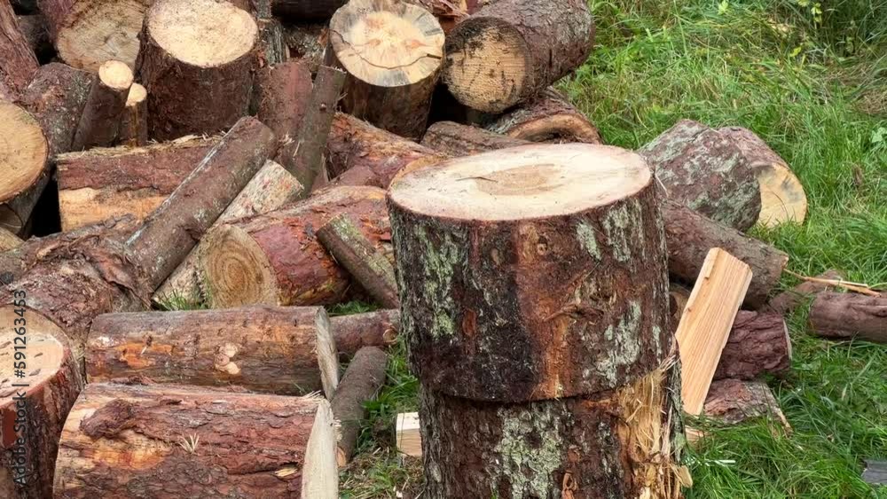 A man chopping wood with an axe on a stump. A man chopping wood with an axe on a stump.