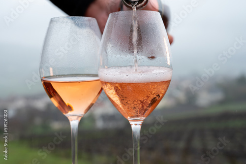 Tasting of premier cru sparkling rose wine with bubbles champagne outdoor with view on hilly pinot meunier vineyards in Hautvillers in February, near Epernay, France. photo