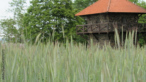 tower in field