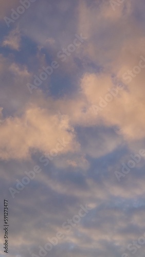 Landscape, view, sunset, animals, interiors, views, sky, sunrise, clouds, trees, nature, city, city view