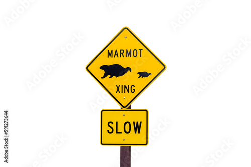 Marmot crossing wildlife ca...