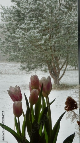 Landscape, view, sunset, animals, interiors, views, sky, sunrise, clouds, trees, nature, city, city view