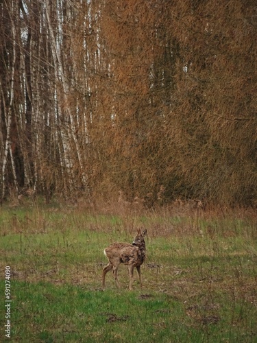 Landscape, view, sunset, animals, interiors, views, sky, sunrise, clouds, trees, nature, city, city view