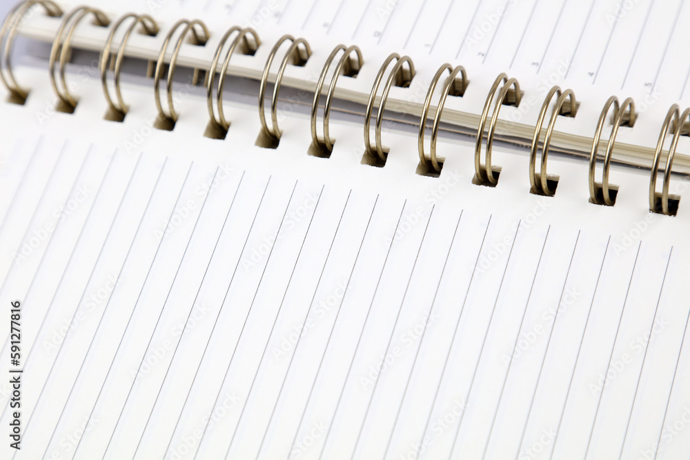 Blank lined diary page