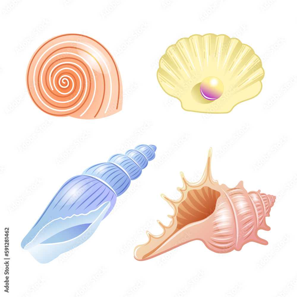 Fototapeta premium Set of vector illustrations of sea shells of different shapes and colors in cartoon style