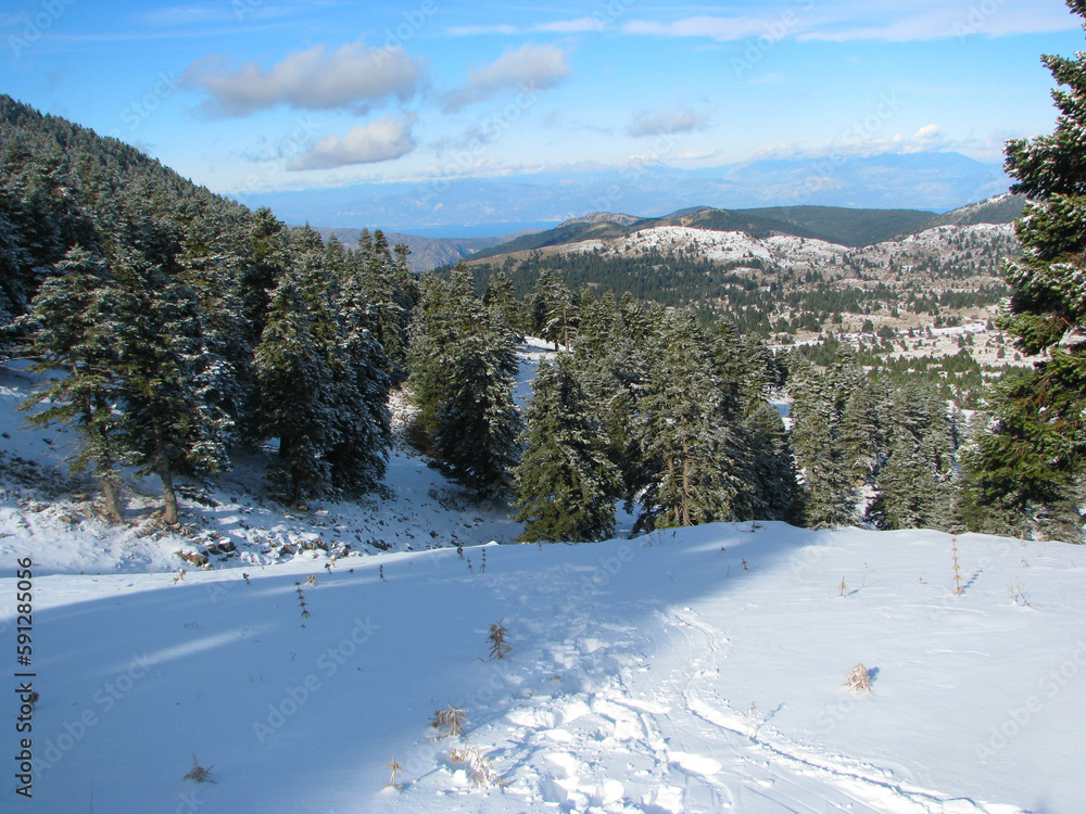 Beautiful winter nature landscape, amazing mountain slope view. Frosty day at the ski resort. Location Arachova, Greece