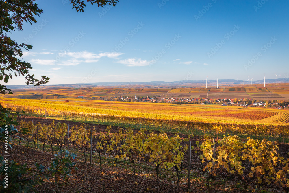 Panoramic view of Flonheim of surrounded by autumn colored vineyards, Rhine Hesse, Germany