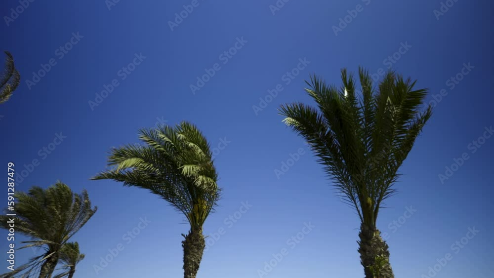The wind on the seashore in Spain in spring. High quality 4k footage The wind on the seashore in Spain in spring. High quality 4k footage