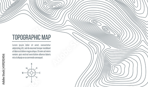Topographic map. Grid, relief contour lines of abstract terrain, vector background of topography, cartography and geography themes. Topo map with vintage compass wind rose and isoline curves pattern