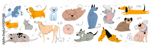 Cute dogs and puppies set, cartoon happy canine characters in different poses. Funny pets standing, lying, playing, sitting, gnaw bone. Line art vector color dachshund, poodle, spitz, pug, dalmatian