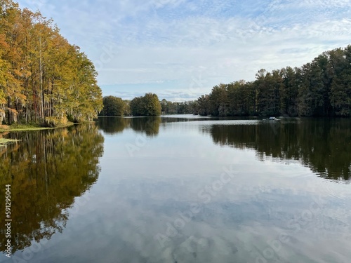 Reflections on the surface of a lake 