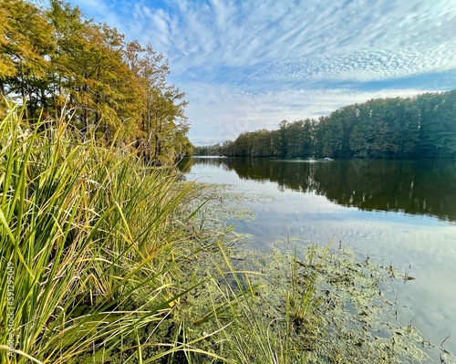 Reflections on the surface of a lake at sunset