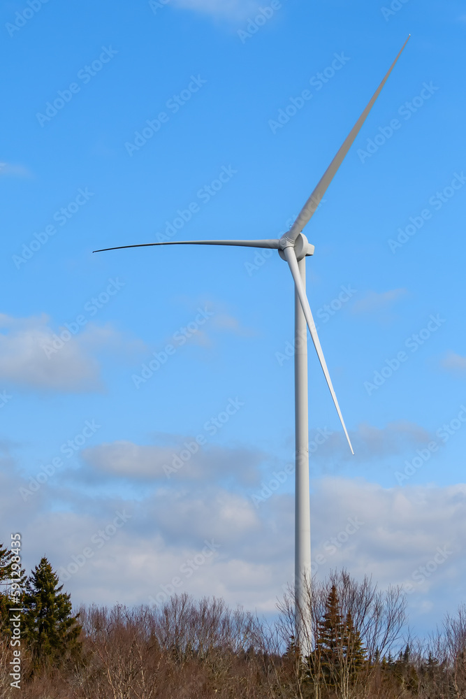 Single wind turbine standing above a wooded or forest area. Partly cloudy blue sky above. Single wind turbine standing above a wooded or forest area. Partly cloudy blue sky above.