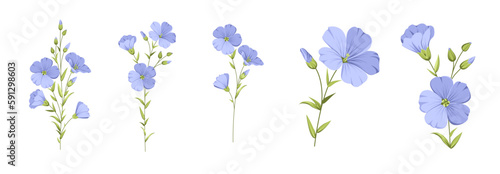 Set of differents flower linen on white background. 