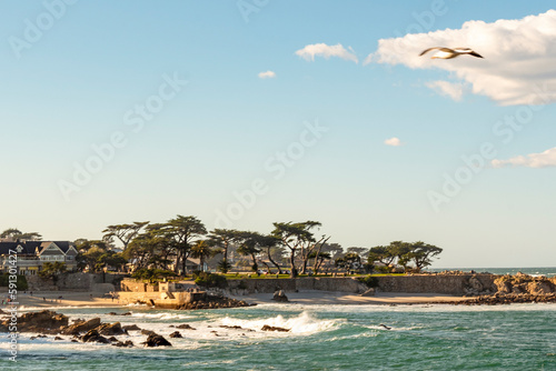 Rocky coastline on Pacific Grove, California. photo